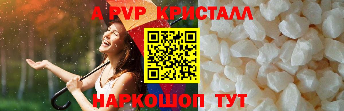 Alfa_PVP СК  APVP СК  Славгород  Вход с VPN  Альфа ПВП крисы CK 
