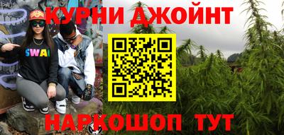 мдпв Обь