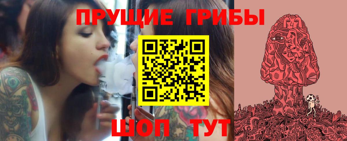 Славгород  Псилоцибиновые грибы Psilocybine cubensis  где найти   Вход с VPN 